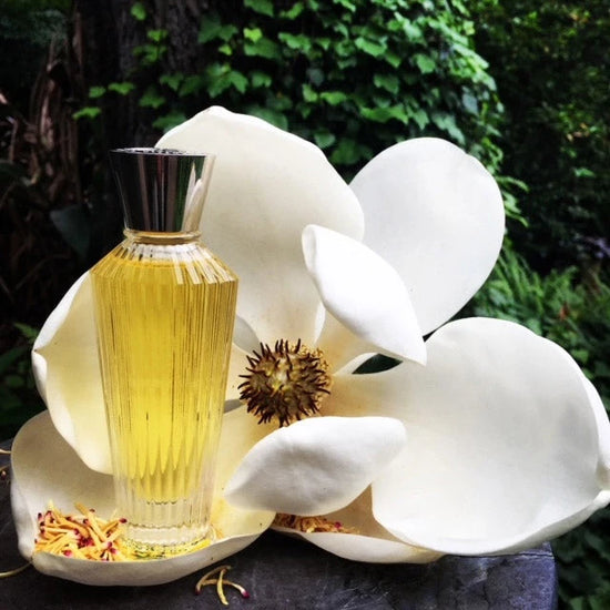 Neela Vermeire Pichola 60ml — 2