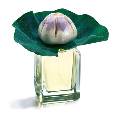 Mendittorosa Mauna 100ml