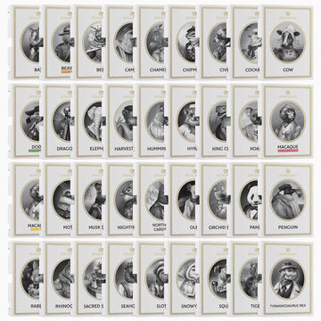 Zoologist Perfumes Complete Sample Set 37 Samples x 1.5ml